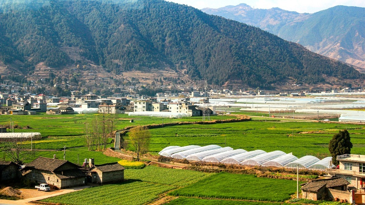 坐着火车到版纳沿途风光【2】