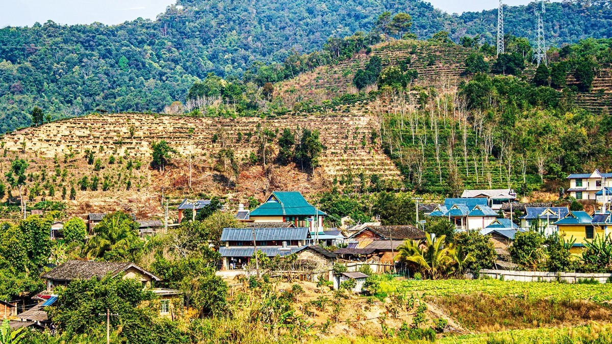 坐着火车到版纳沿途风光【2】