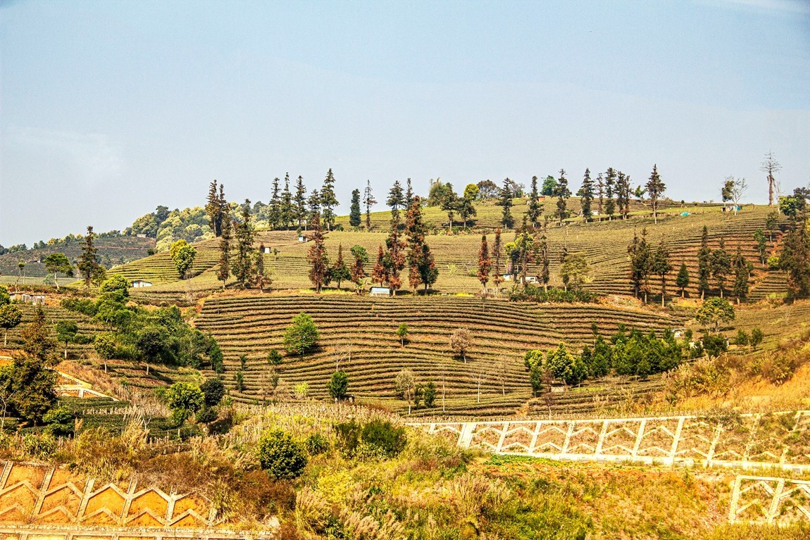 坐着火车到版纳沿途风光【2】