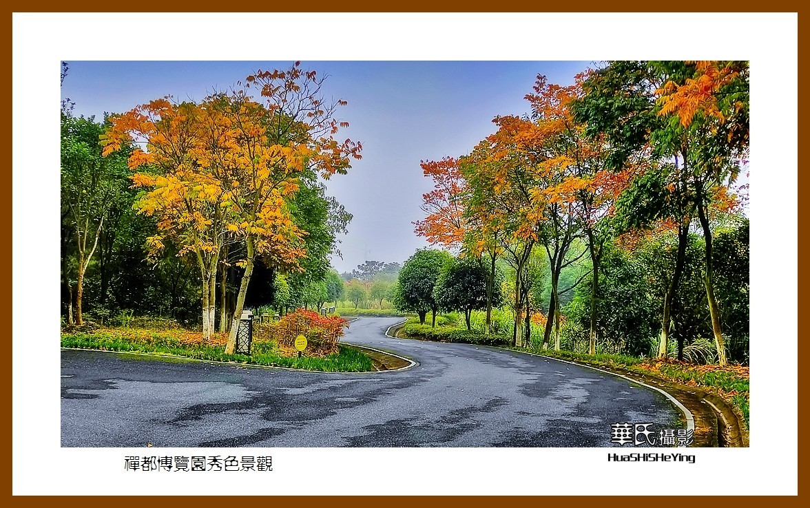 2021南行慢游（江西155）———禅都博览园秀色景观（宜春市）