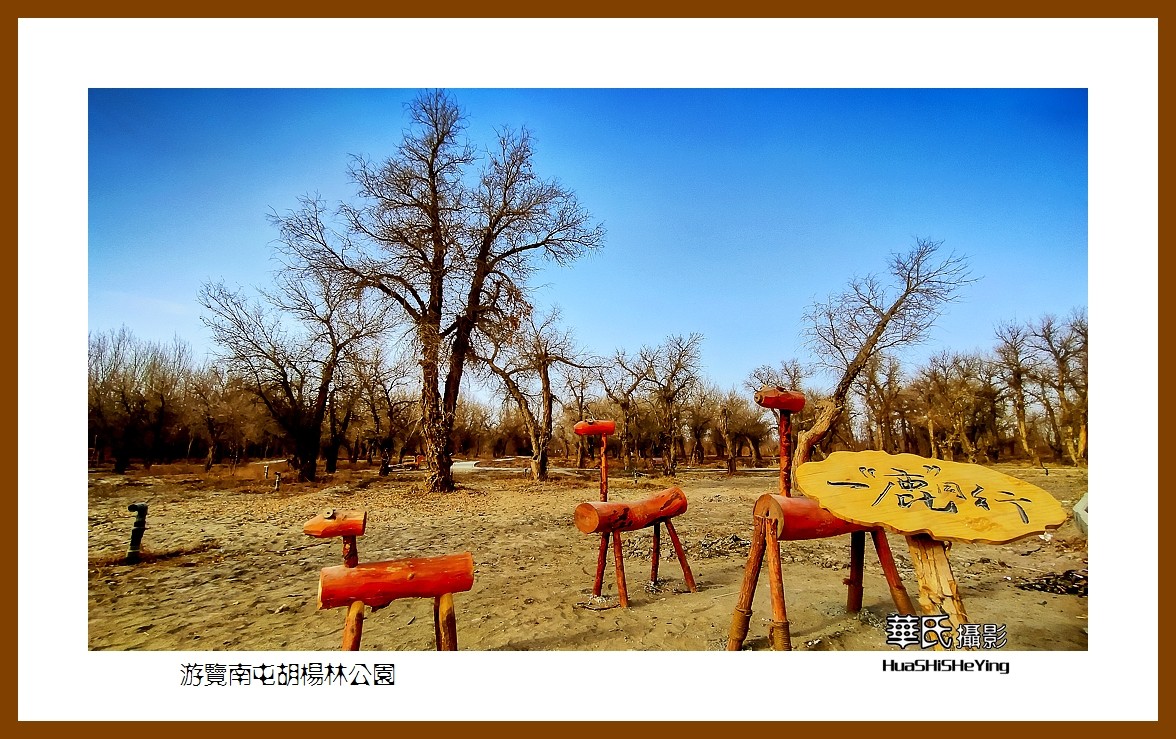 2023西行游记（新疆007）———游览南屯胡杨林公园（巴音郭楞州且末县）