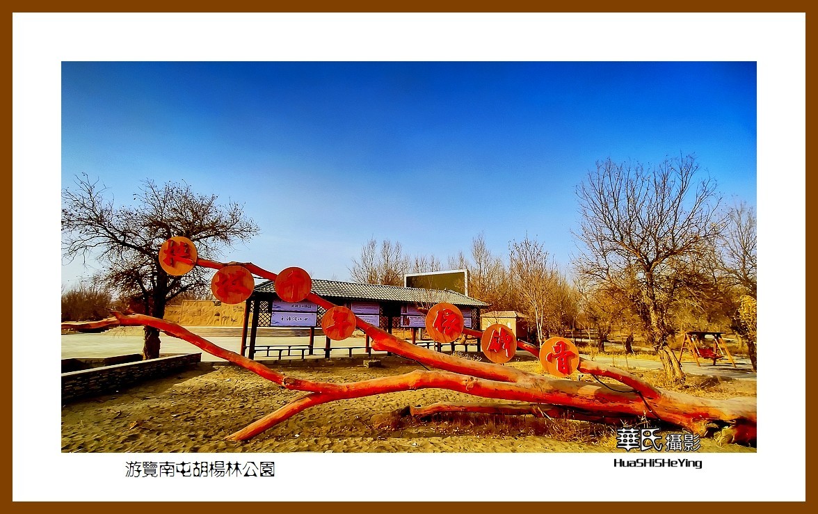 2023西行游记（新疆007）———游览南屯胡杨林公园（巴音郭楞州且末县）