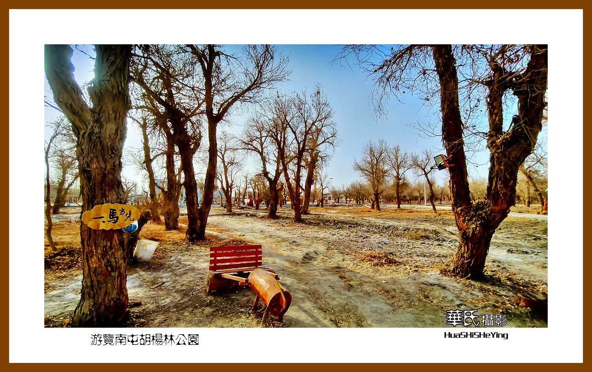 2023西行游记（新疆007）———游览南屯胡杨林公园（巴音郭楞州且末县）