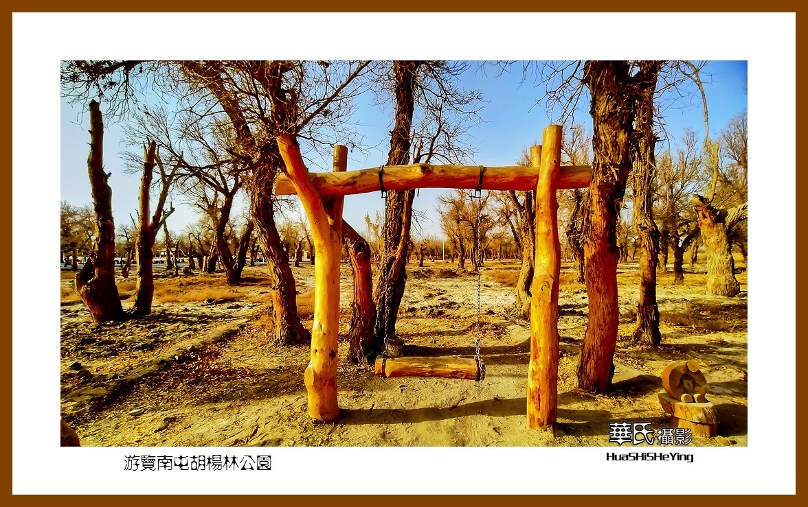 2023西行游记（新疆007）———游览南屯胡杨林公园（巴音郭楞州且末县）
