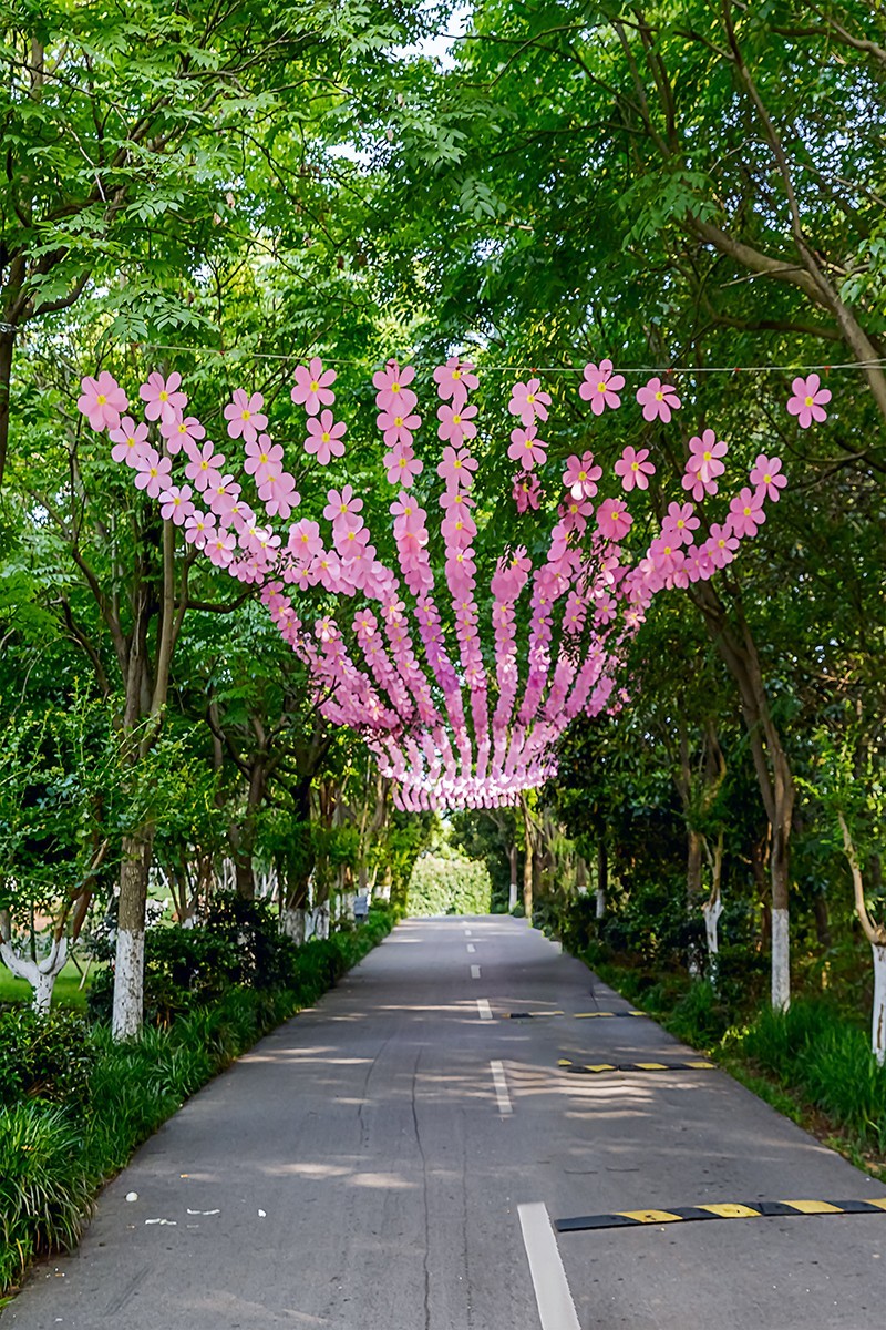 旅游记录 ：江西 · 南昌 · 凤凰沟景区