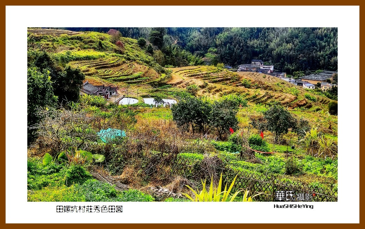 2022南行慢游（福建015）—田螺坑村庄秀色田园（漳州市南靖县）