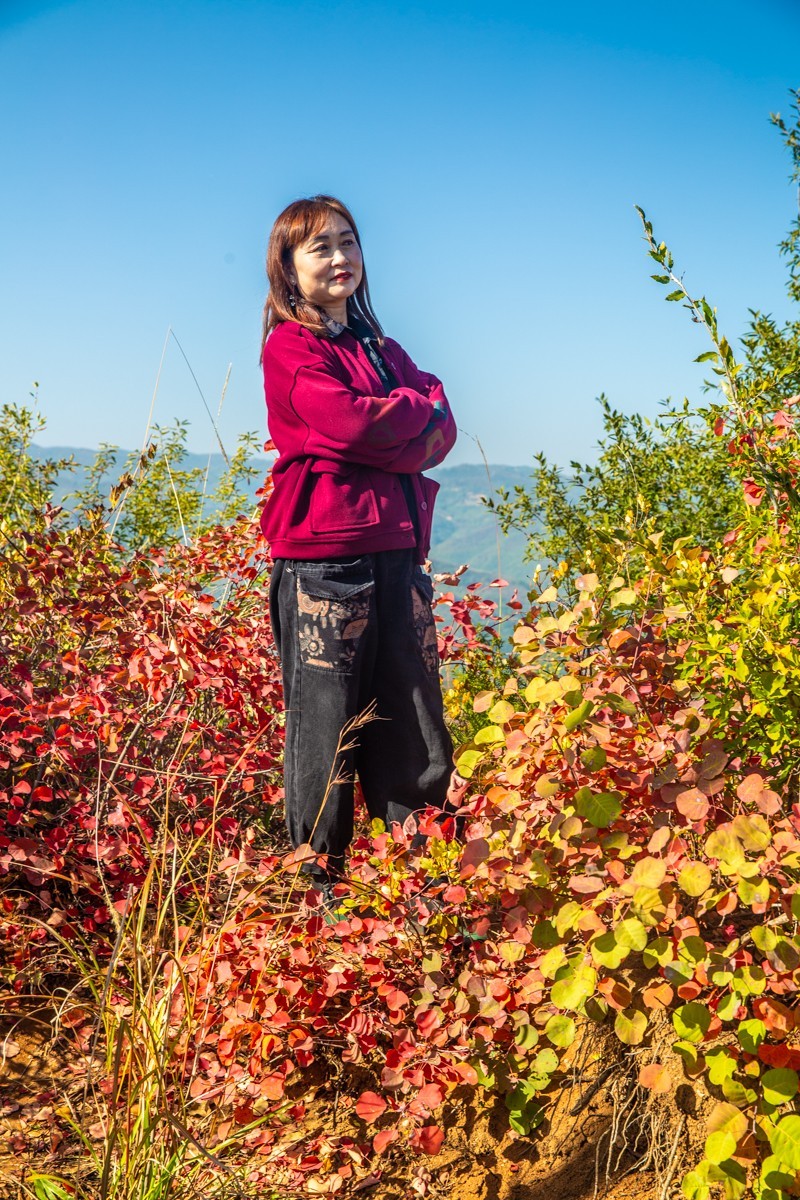 赵老峪北的红叶