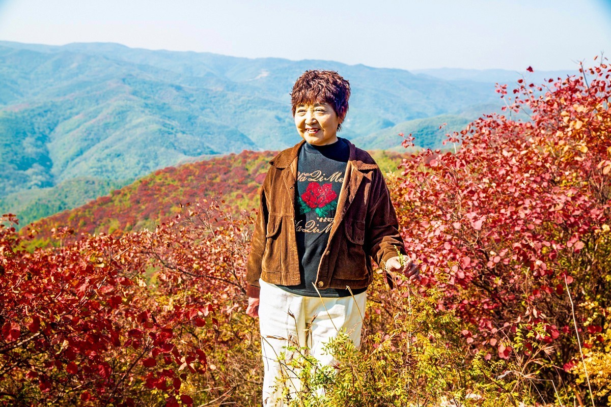 赵老峪北的红叶