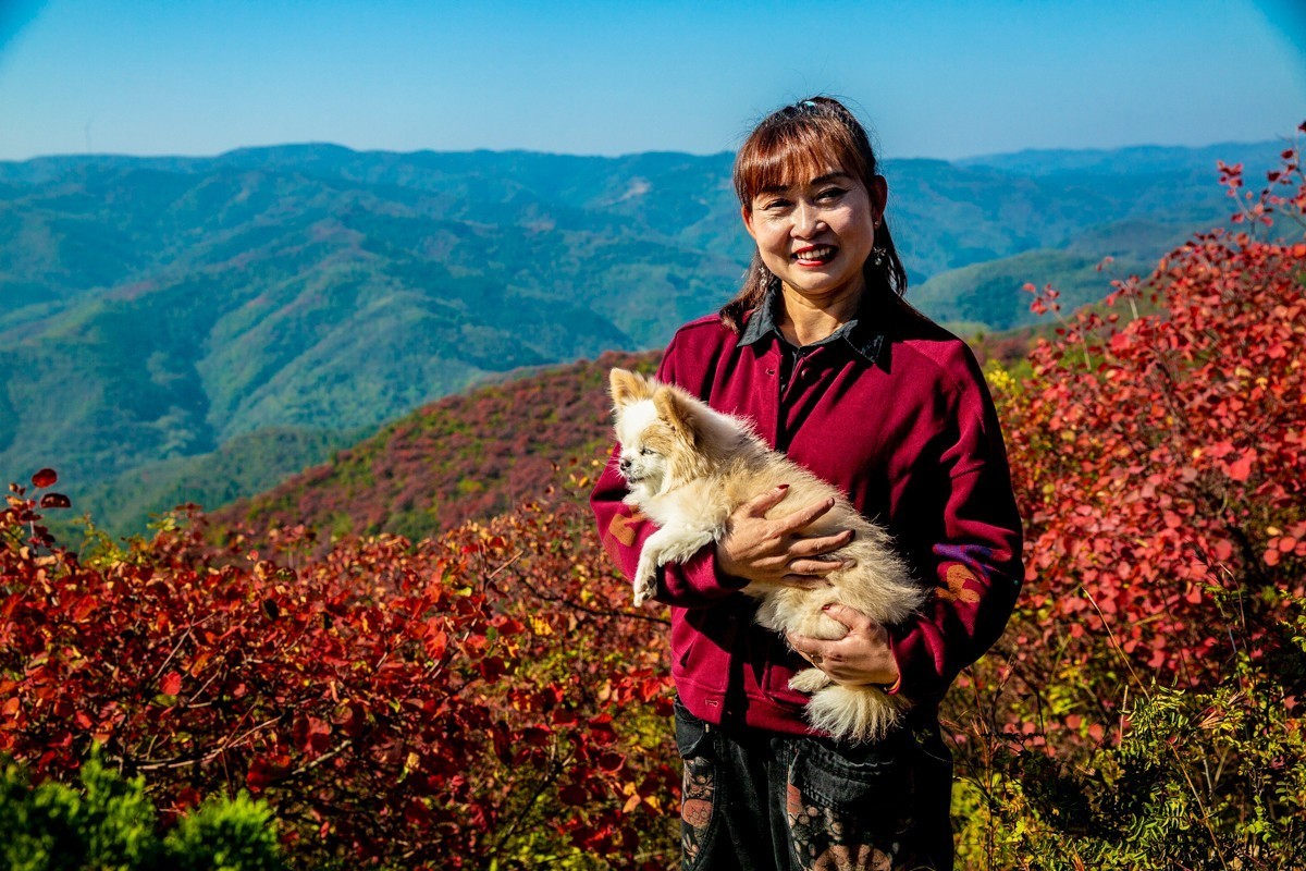 赵老峪北的红叶