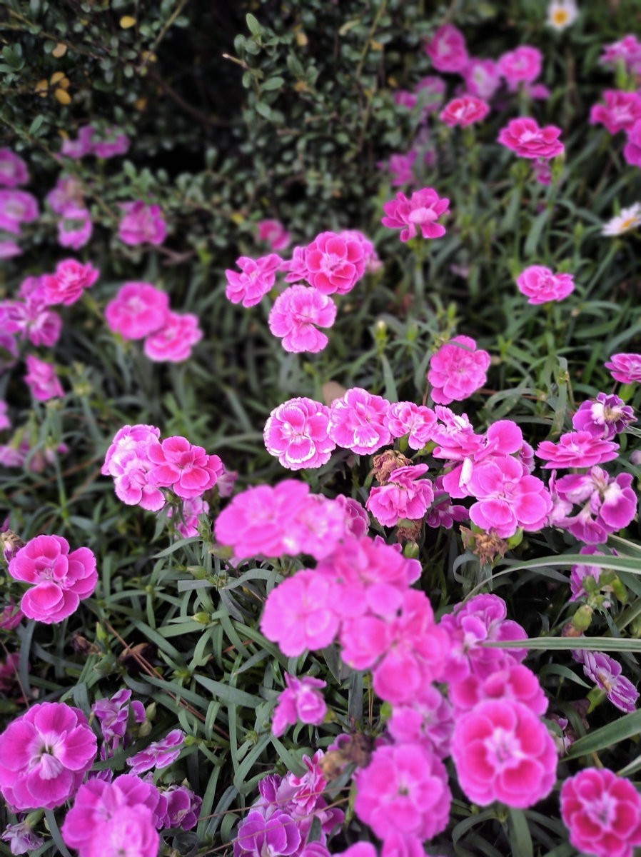 漫步星城 走街串巷（512）长沙很丽江