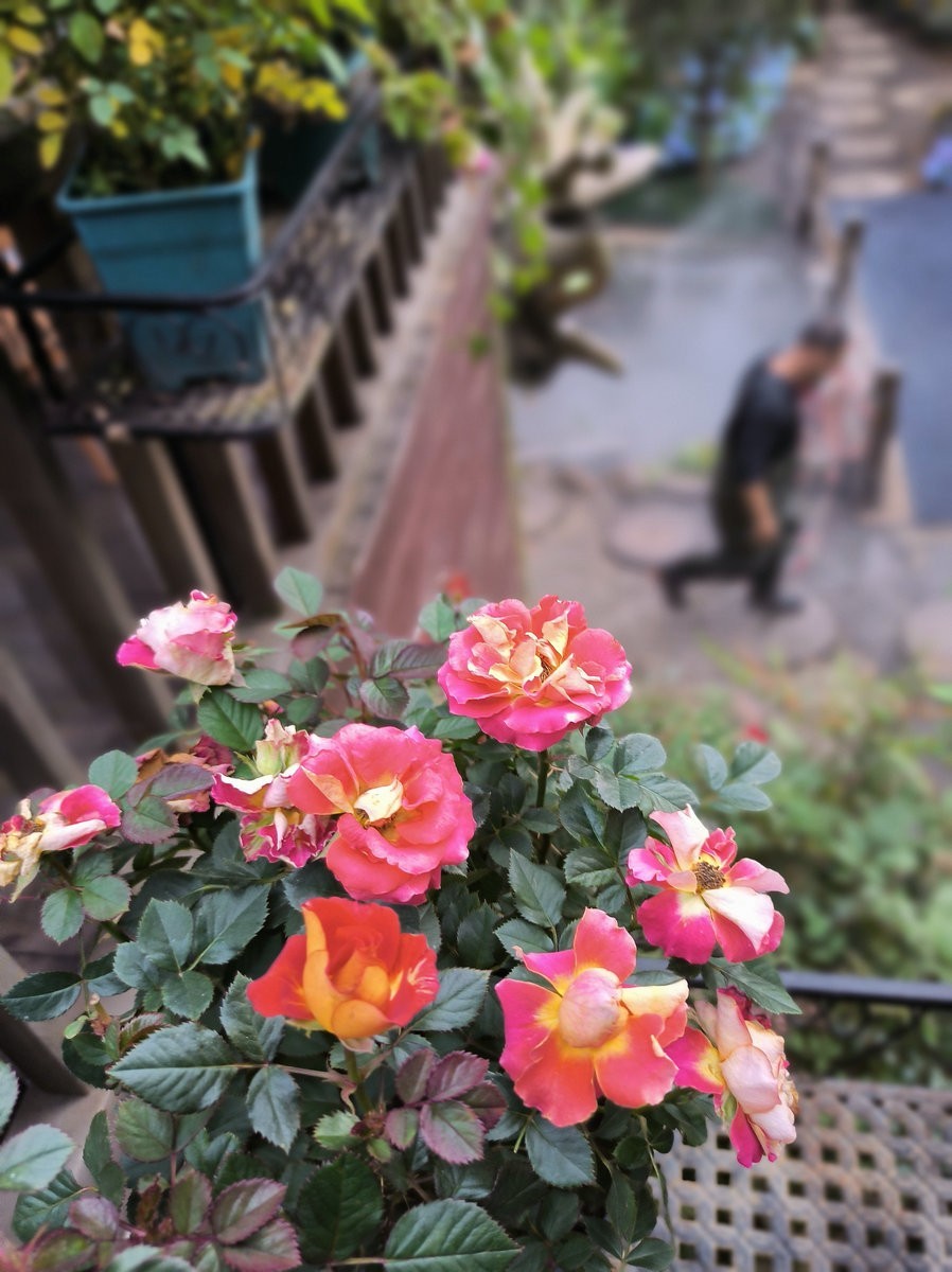 漫步星城 走街串巷（512）长沙很丽江