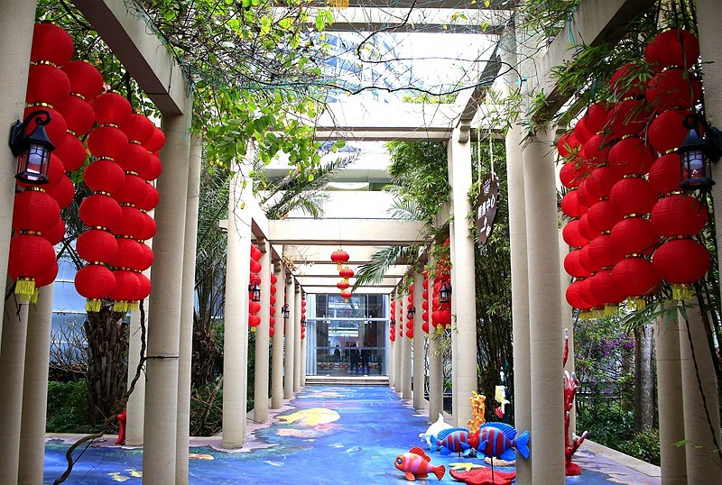 609【不老松：海南游摄纪实】在长島兰湾烘烘火火过新年！