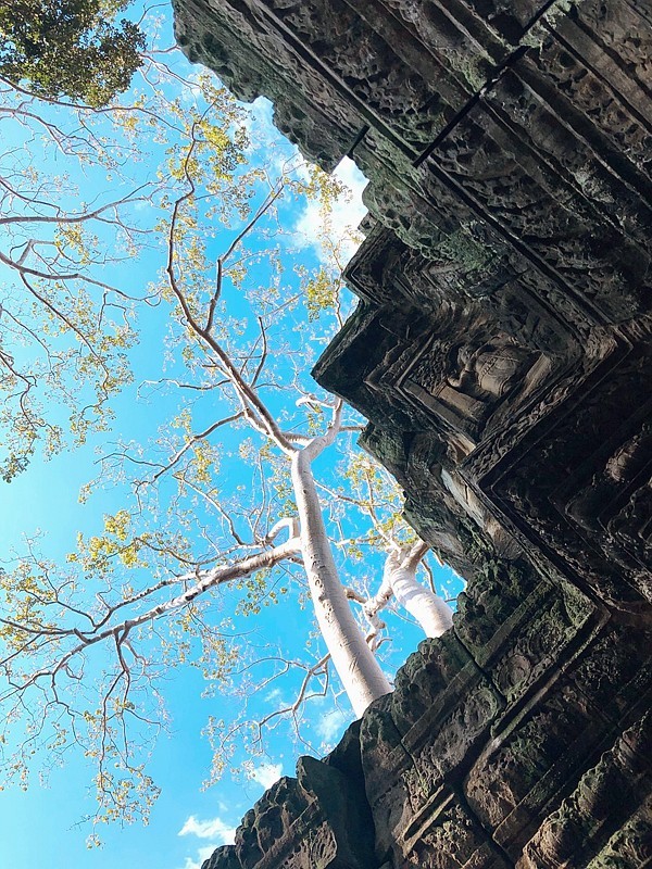 《不老松：异国风情彔：2015中国优导中游张松：柬埔寨》13柬埔寨巴绒庙～“高棉的微笑