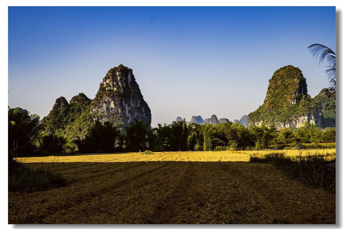 旅途中一一广西明仕田园风光