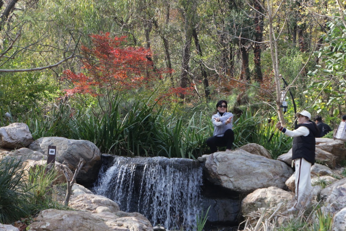 滨城游拍——初冬植物园（2024-3）