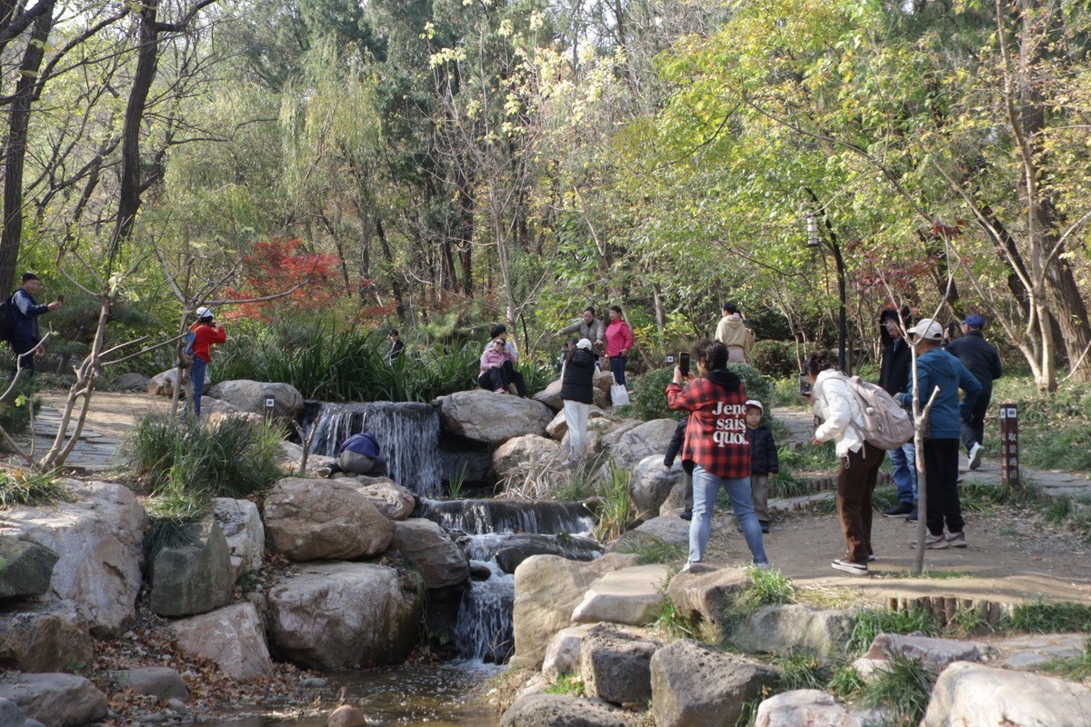 滨城游拍——初冬植物园（2024-3）