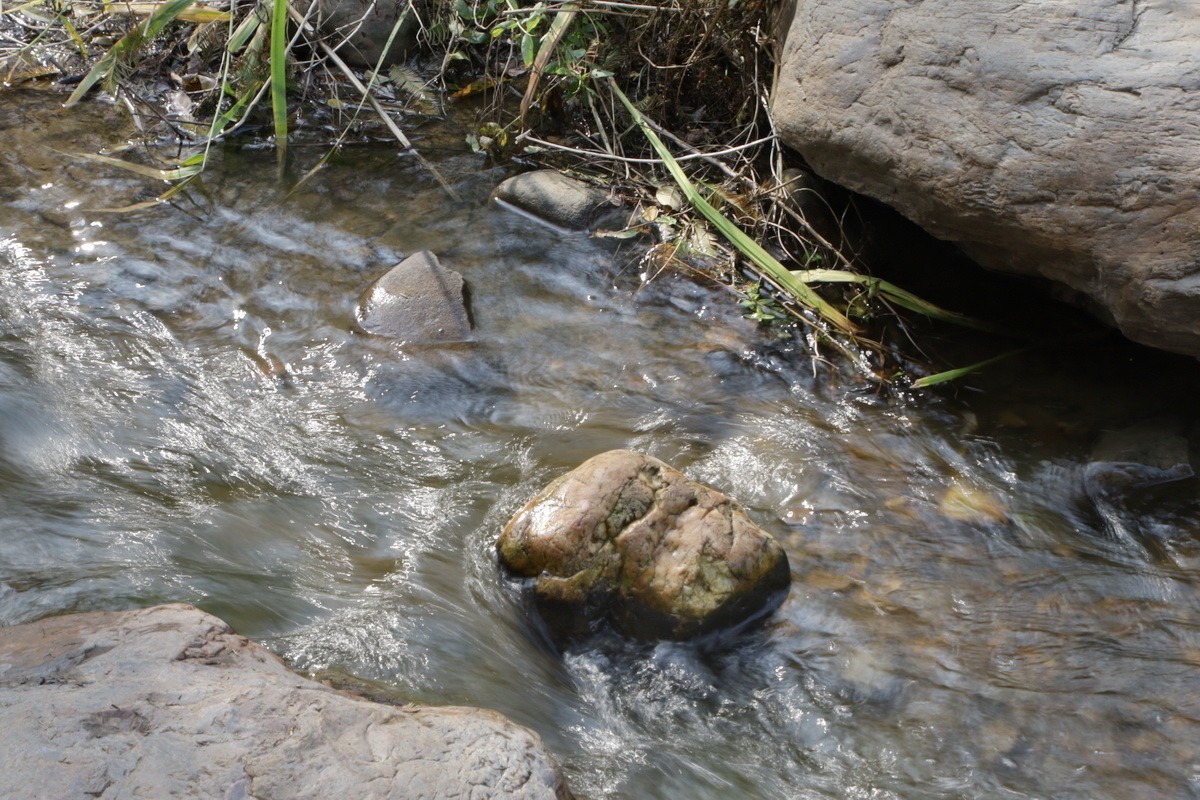 滨城游拍——初冬植物园（2024-3）