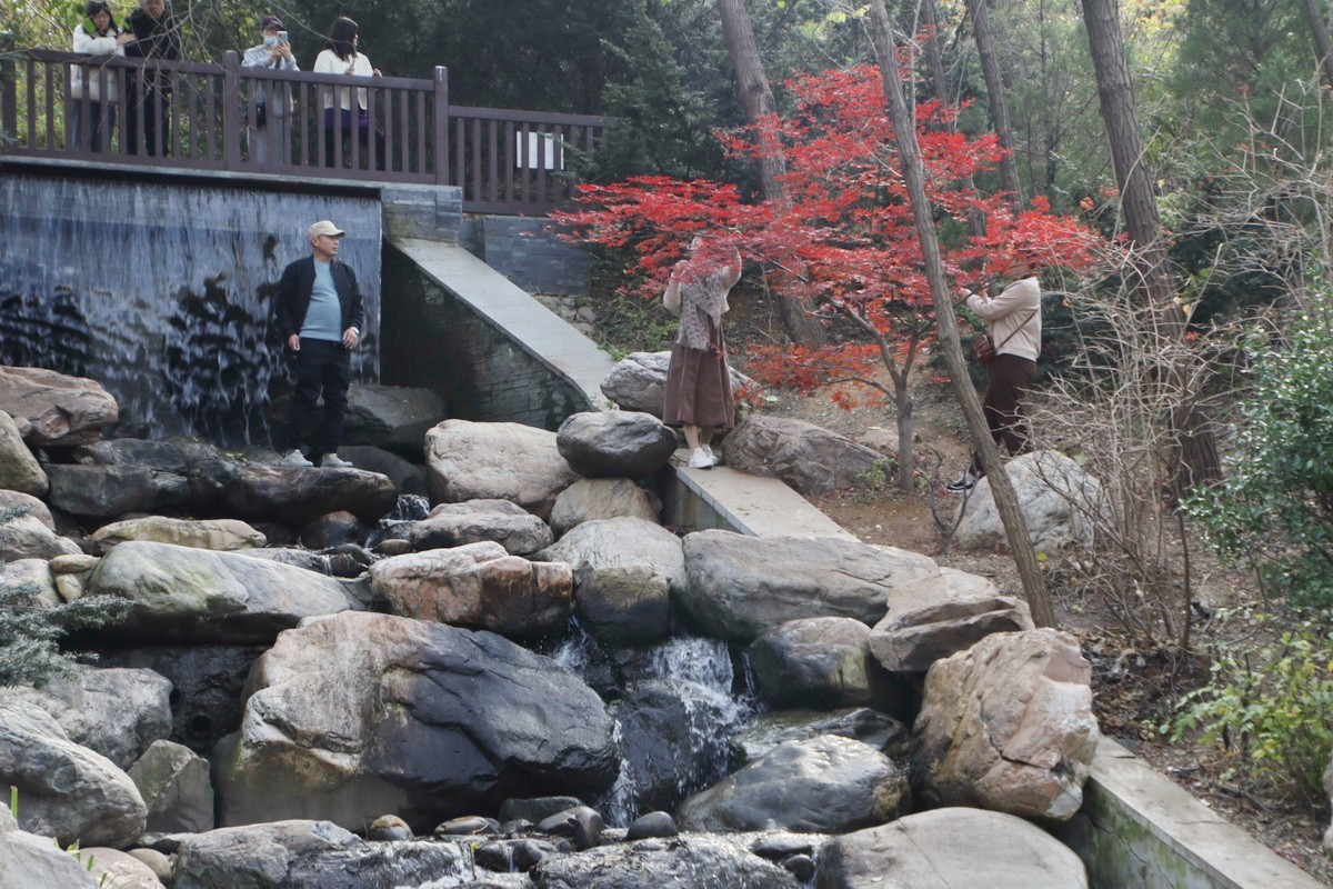 滨城游拍——初冬植物园（2024-3）