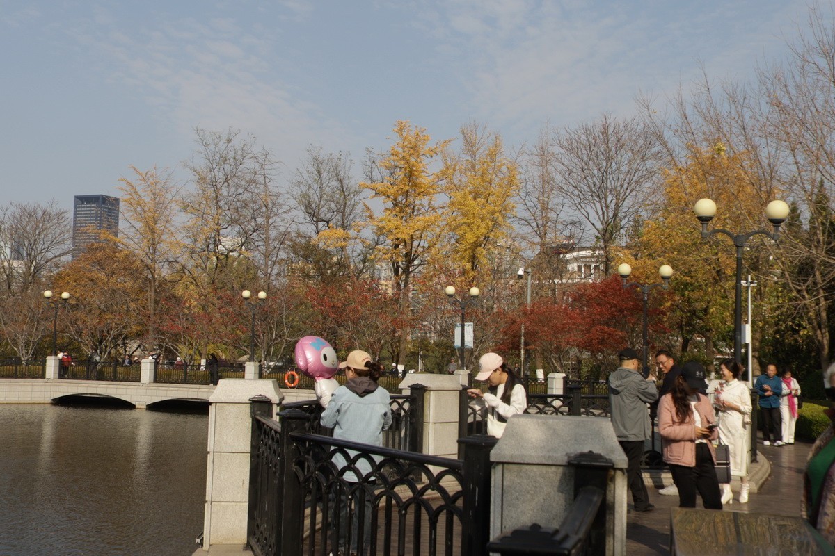 滨城游拍——初冬植物园（2024-3）