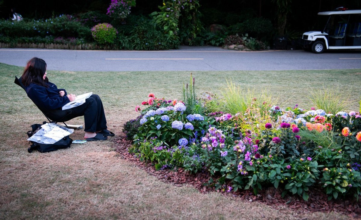 仙湖植物园随拍