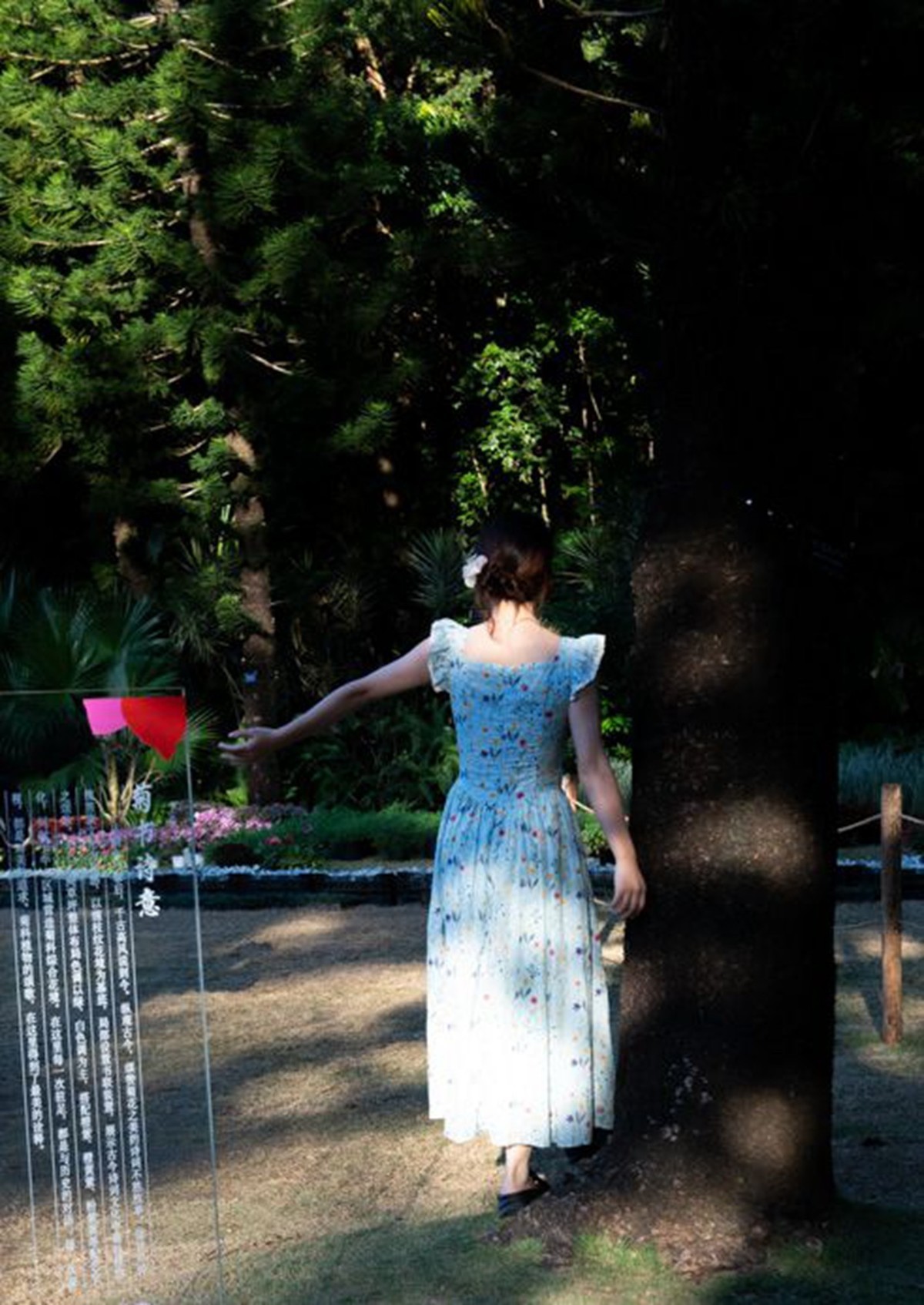 仙湖植物园随拍