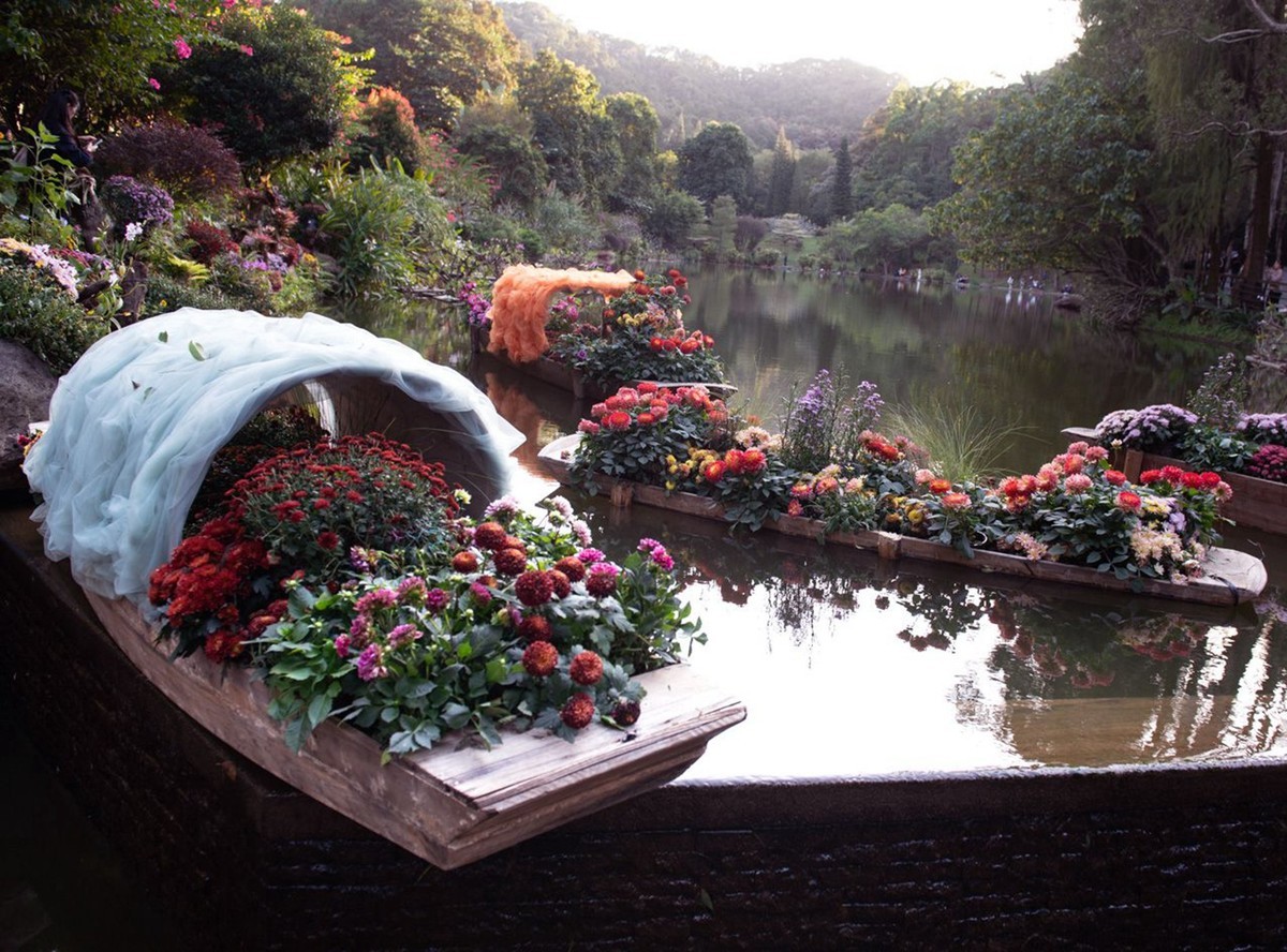 仙湖植物园随拍