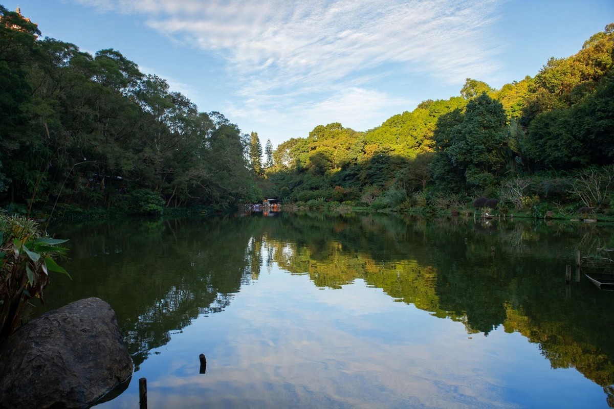 仙湖植物园随拍
