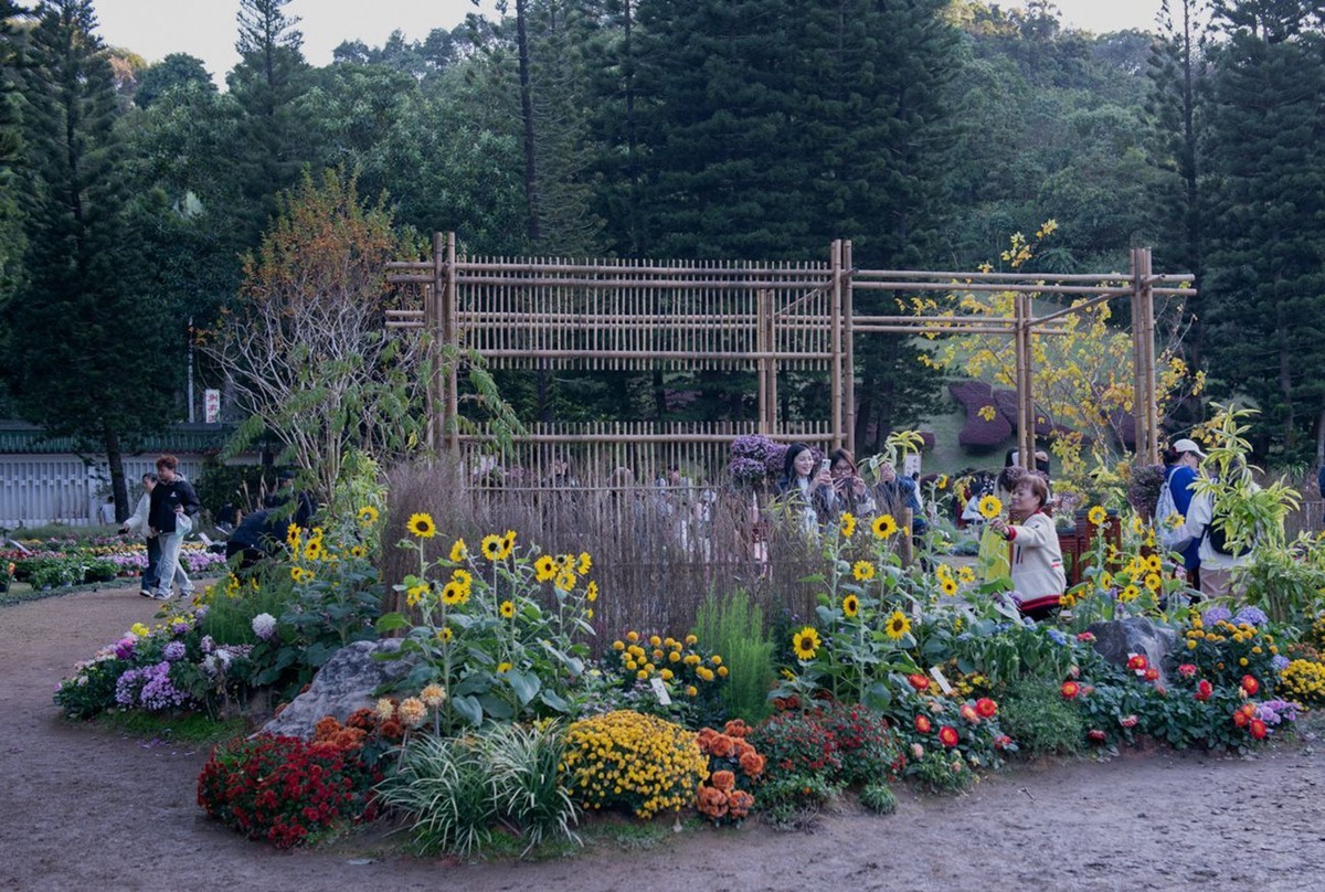 仙湖植物园随拍