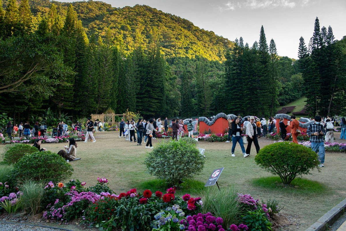 仙湖植物园随拍