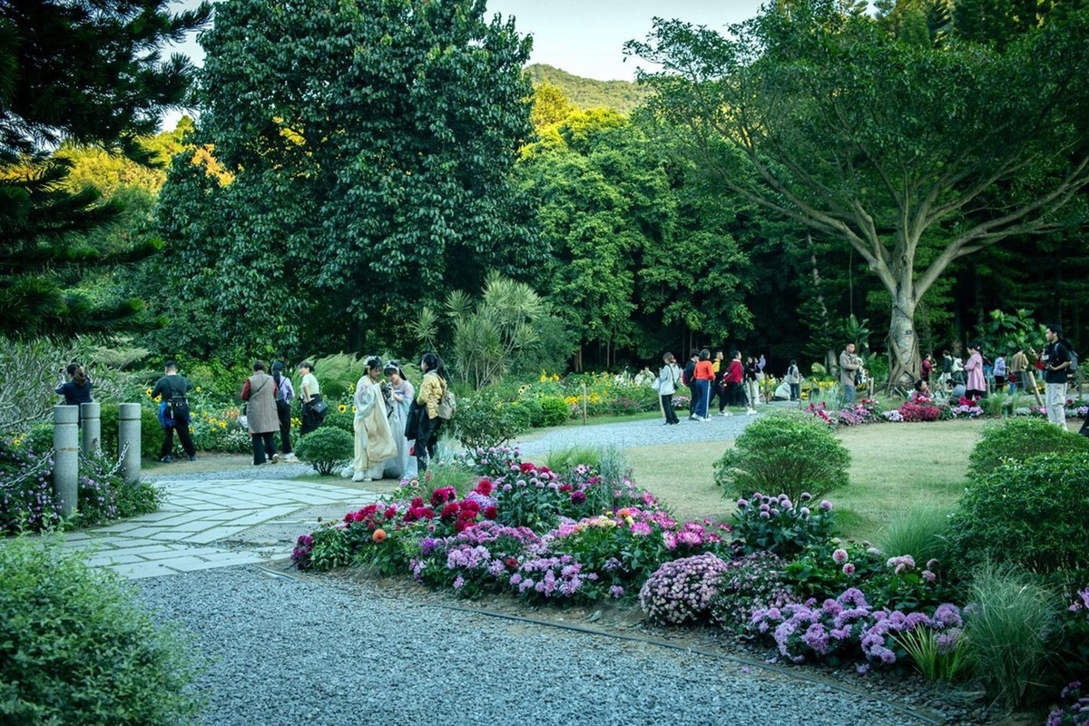 仙湖植物园随拍