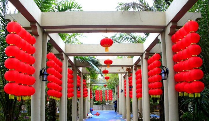 609【不老松：海南游摄纪实】在长島兰湾烘烘火火过新年！