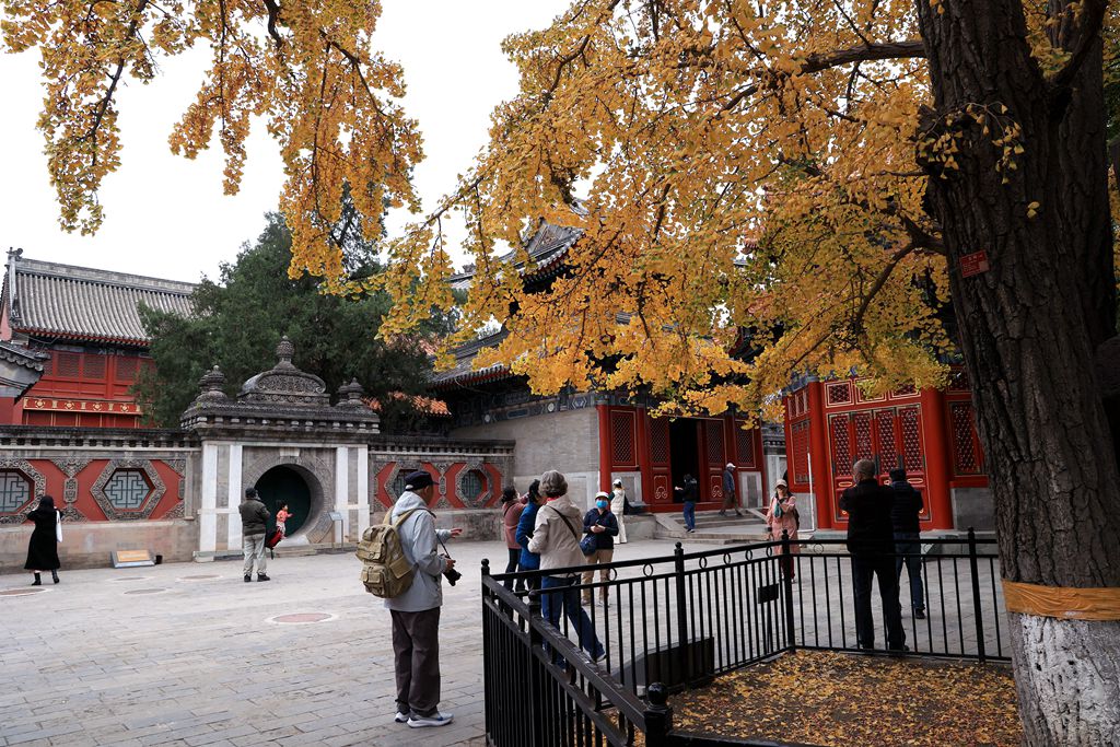 万寿寺---北京艺术博物馆-中关村在线摄影论坛