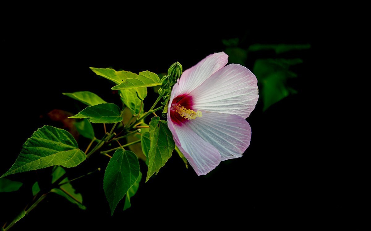 回望2022我镜头里的那些柔美光影 【风光作品汇总】