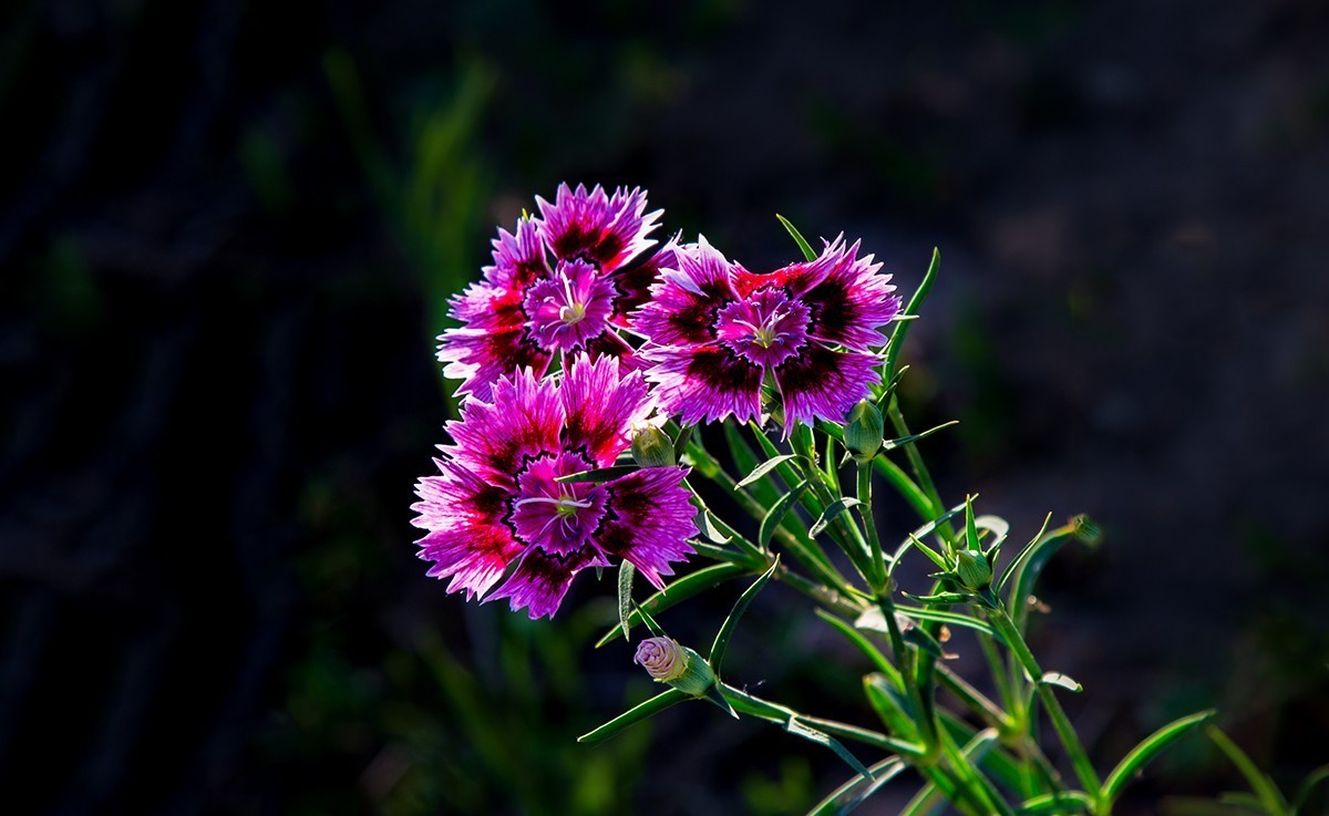回望2022我镜头里的那些柔美光影 【风光作品汇总】
