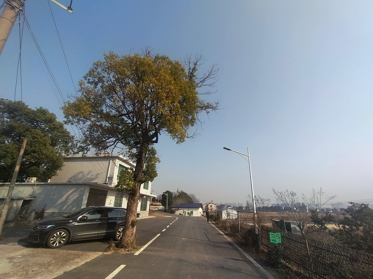 漫步星城 走街串巷（351）冬季沩水实景