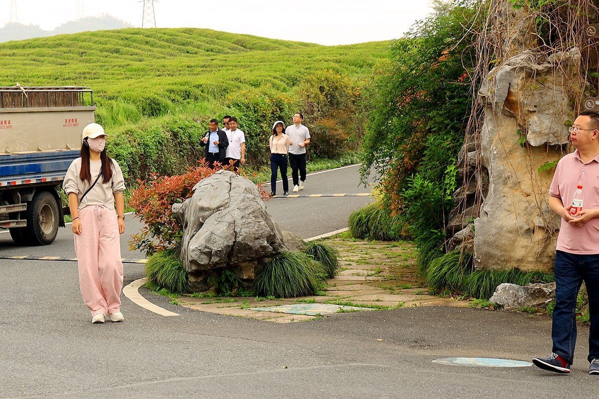 杭州余杭径山茶园游拍（一）