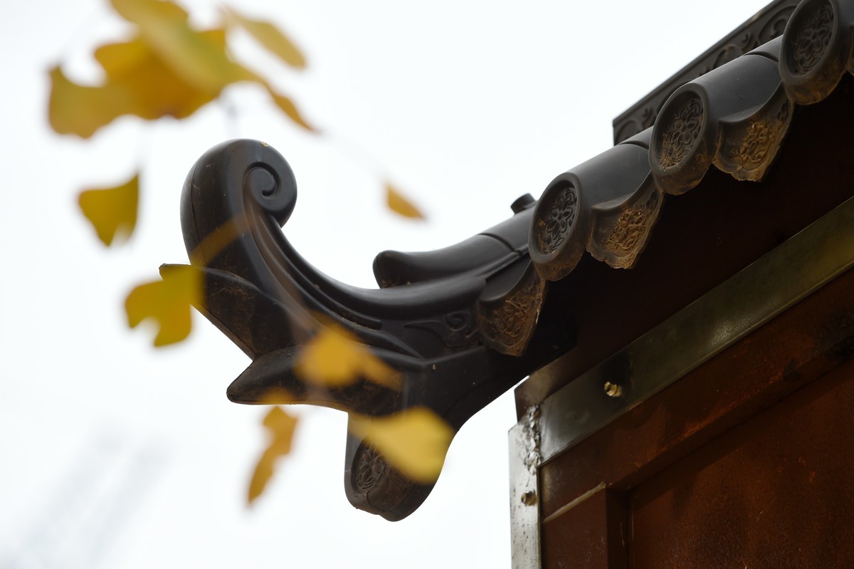 人间满目皆清欢，唯有银杏不负秋。