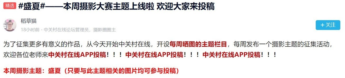 #盛夏#本周摄影主题作品征集“盛夏”，欢迎老师们来投稿