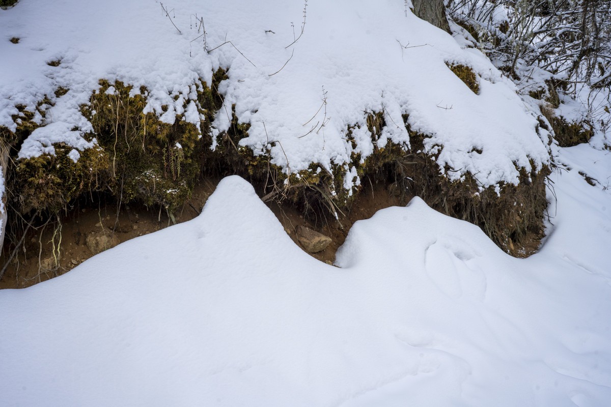 这里的冬天好魅    毕棚沟，阿坝州，四川省