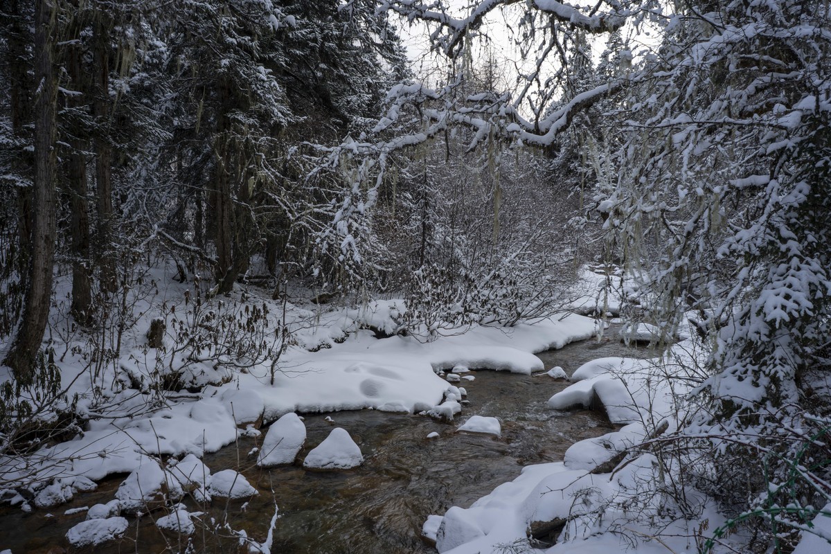 这里的冬天好魅    毕棚沟，阿坝州，四川省