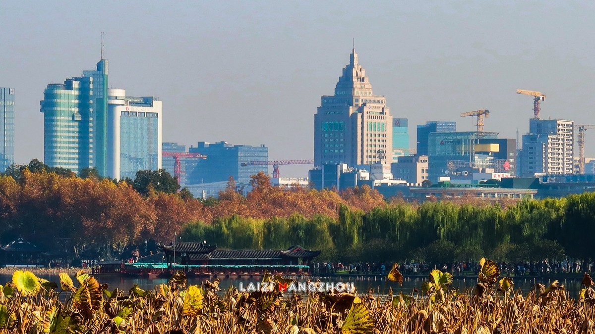 西湖秋色如约而至 (4)