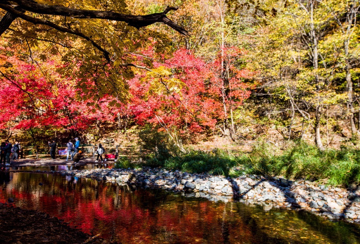 外出随拍（续204）.