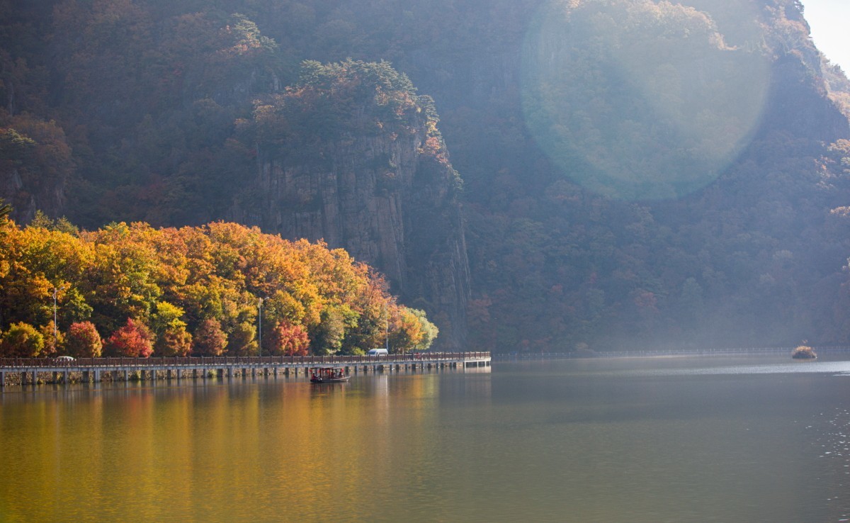 外出随拍（续204）.