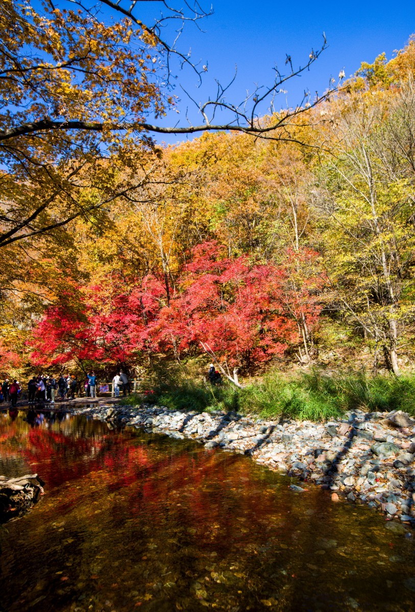 外出随拍（续204）.