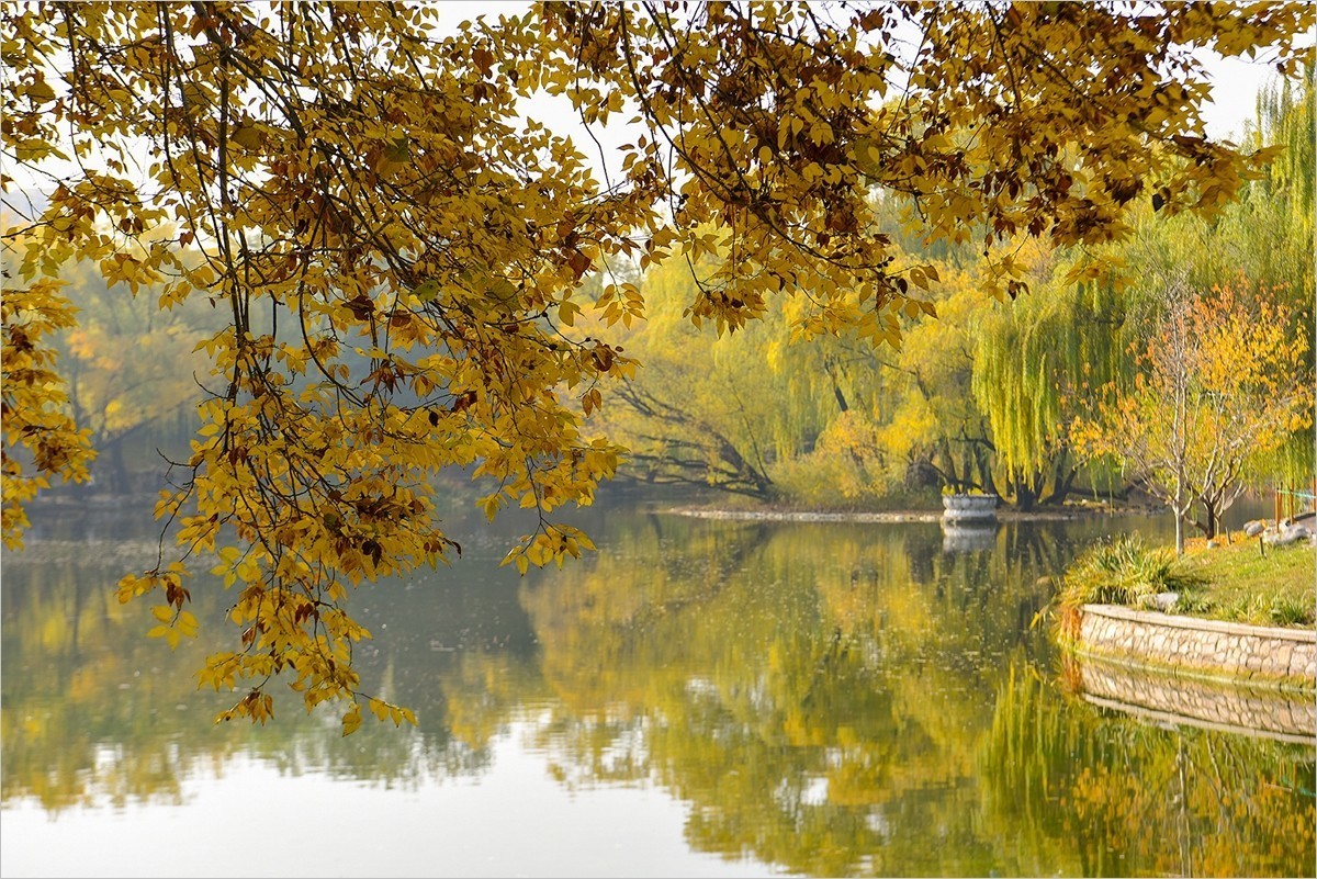 2024年第0867贴-北京紫竹院风光秋拍（1124）