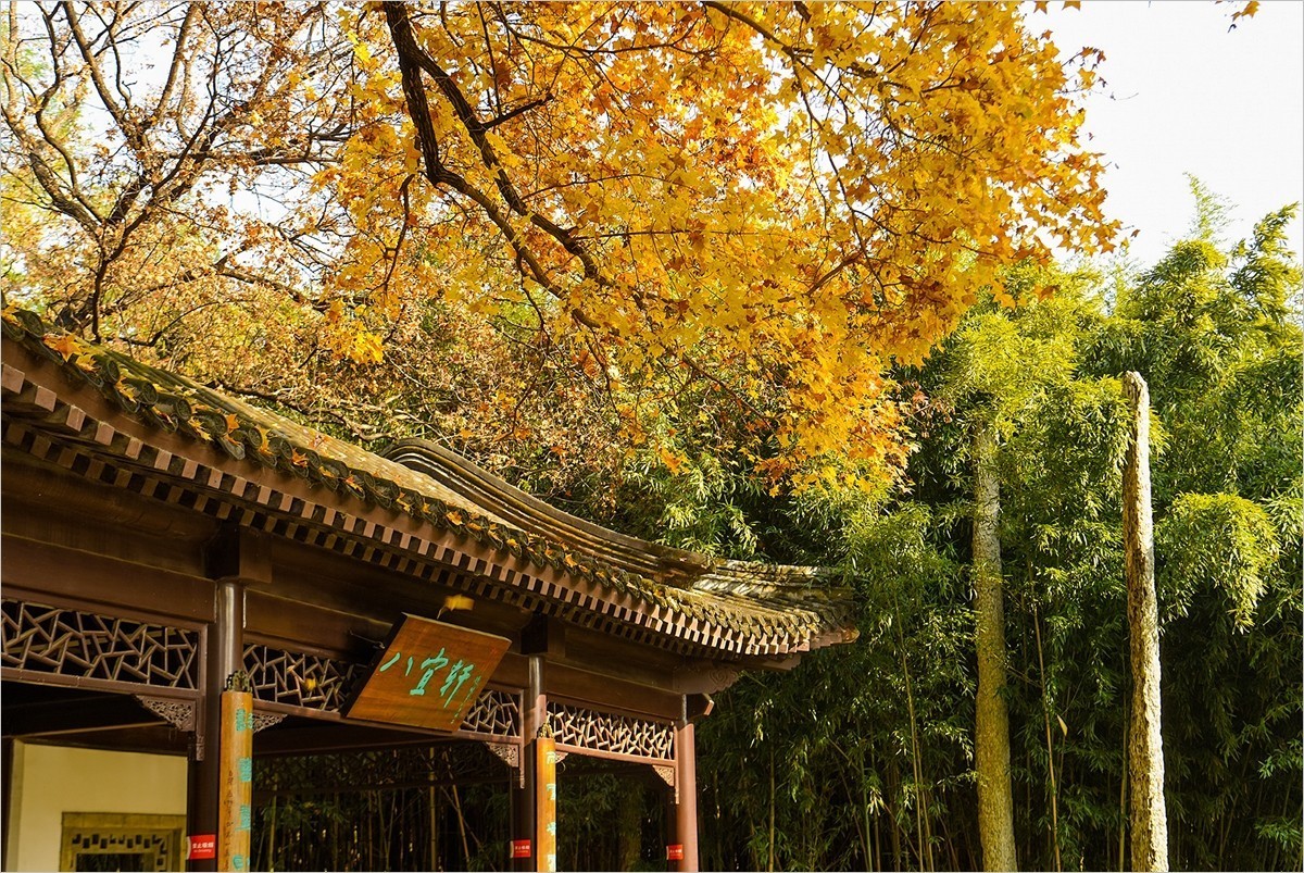 2024年第0867贴-北京紫竹院风光秋拍（1124）