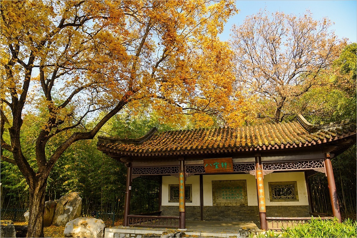 2024年第0867贴-北京紫竹院风光秋拍（1124）