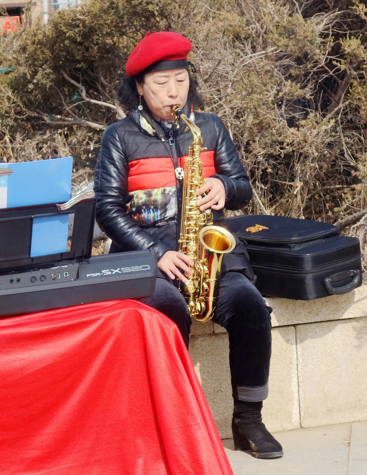 电子琴和萨克斯演奏