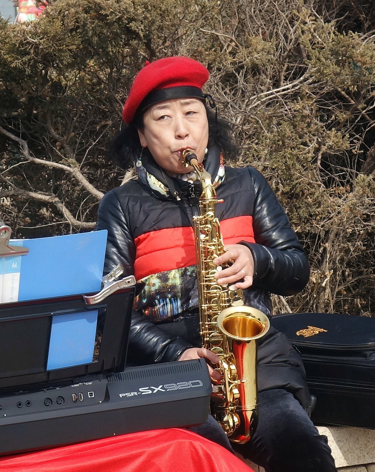 电子琴和萨克斯演奏