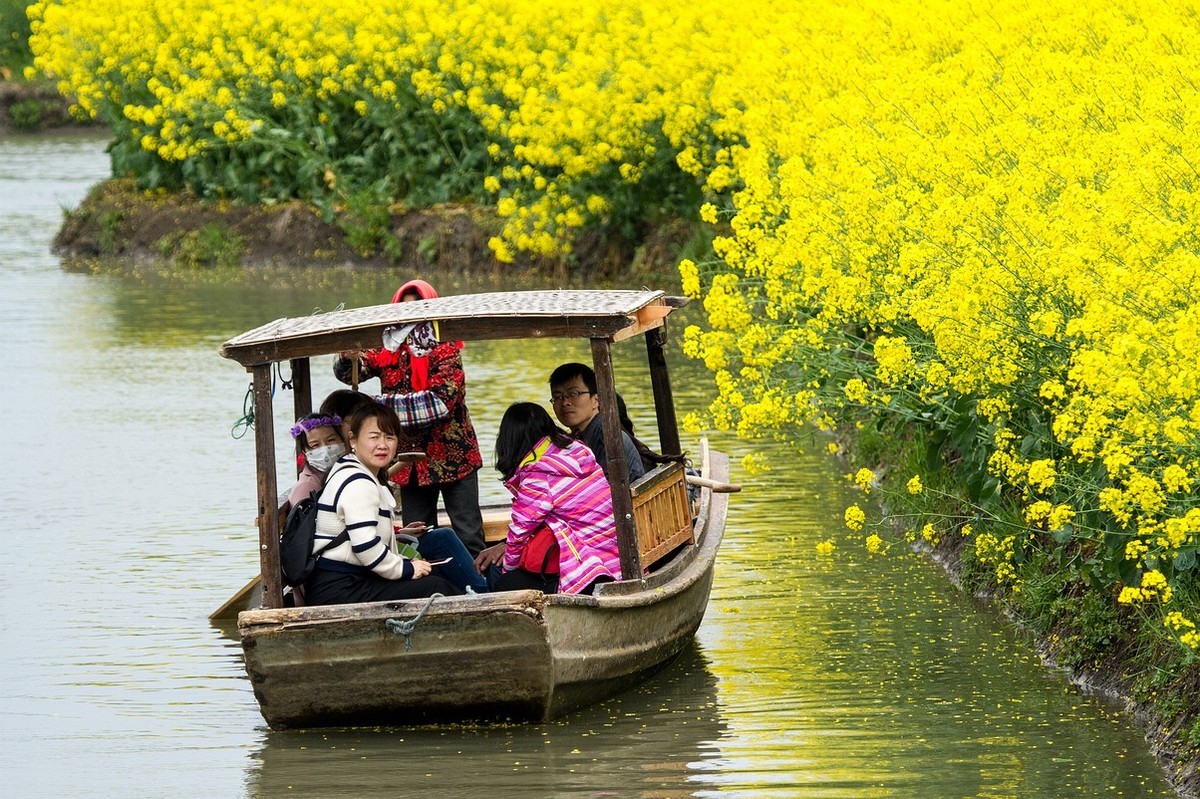油菜花黄春意浓